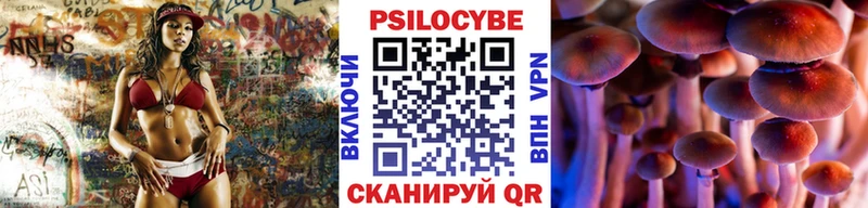 закладки  нарко площадка наркотические препараты  Псилоцибиновые грибы Psilocybine cubensis  Мирный 
